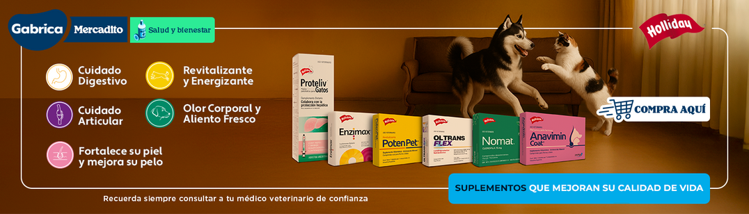 2026 PLANNING GABRICA Q2 03 - Fortalece la Salud de tu mascota con Holliday - (Abril, Mayo, Junio)
