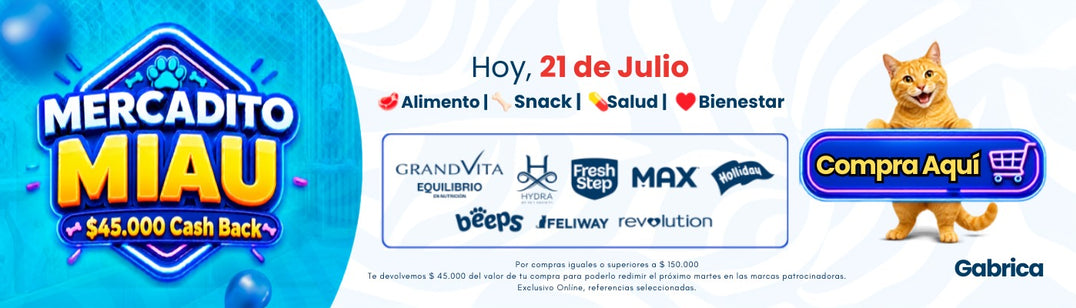 2026 PLANNING GABRICA Q3 16 - Gabrica fest gato, un dia al mes hasta 45.000 dcto (21 Jul / 15 Ago / 22 Sept)