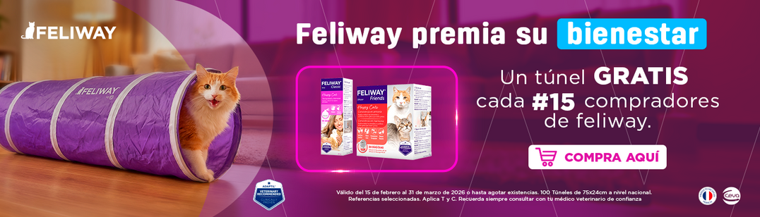 2026-03 PLANNING GABRICA - Dinámica Tuneles Gato Feliway