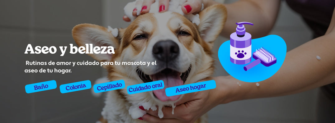 Mundo Gabrica Aseo y Belleza Perro