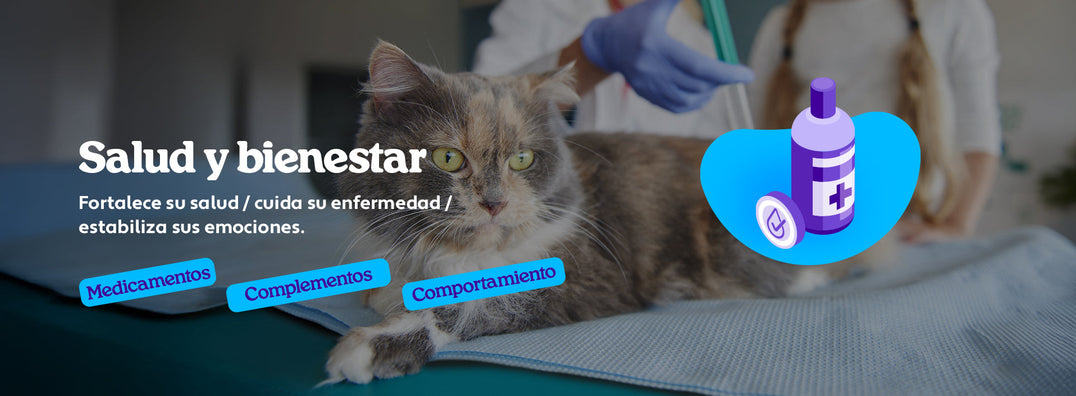 Mundo Gabrica Salud y Bienestar Gato