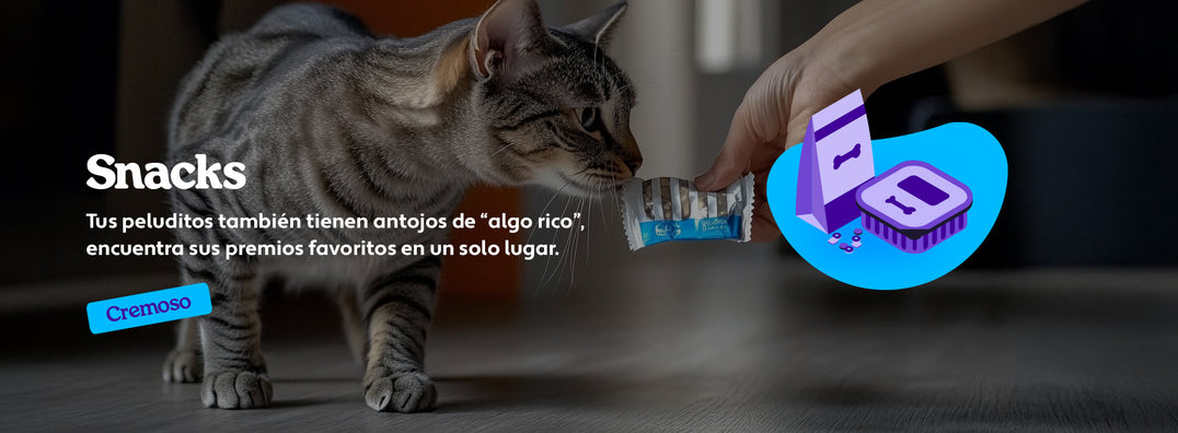 Mundo Gabrica Snack Gato