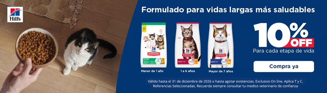 2026 PLANNING GABRICA Q4 01 - 10% Hills gato etapa de vida (Setp 1 - Dic 31)