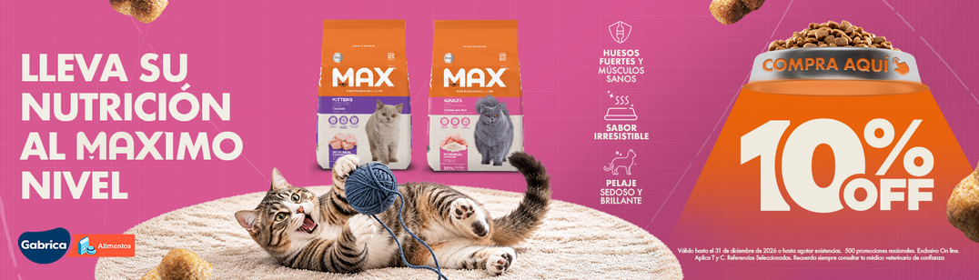 2026 PLANNING GABRICA Q4 03 - 10% MAX etapa de vida gato (Oct 1 - Dic 31)
