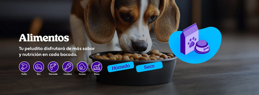 Mundo Gabrica Alimento Para Perro