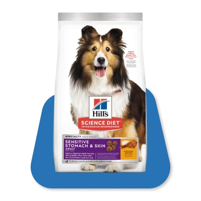 Alimento seco perro