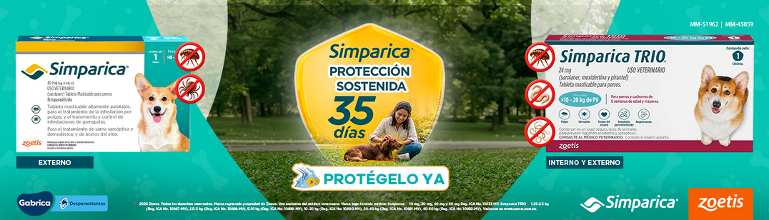 2026 PLANNING GABRICA Q4 05 - Simparica + simparica trio