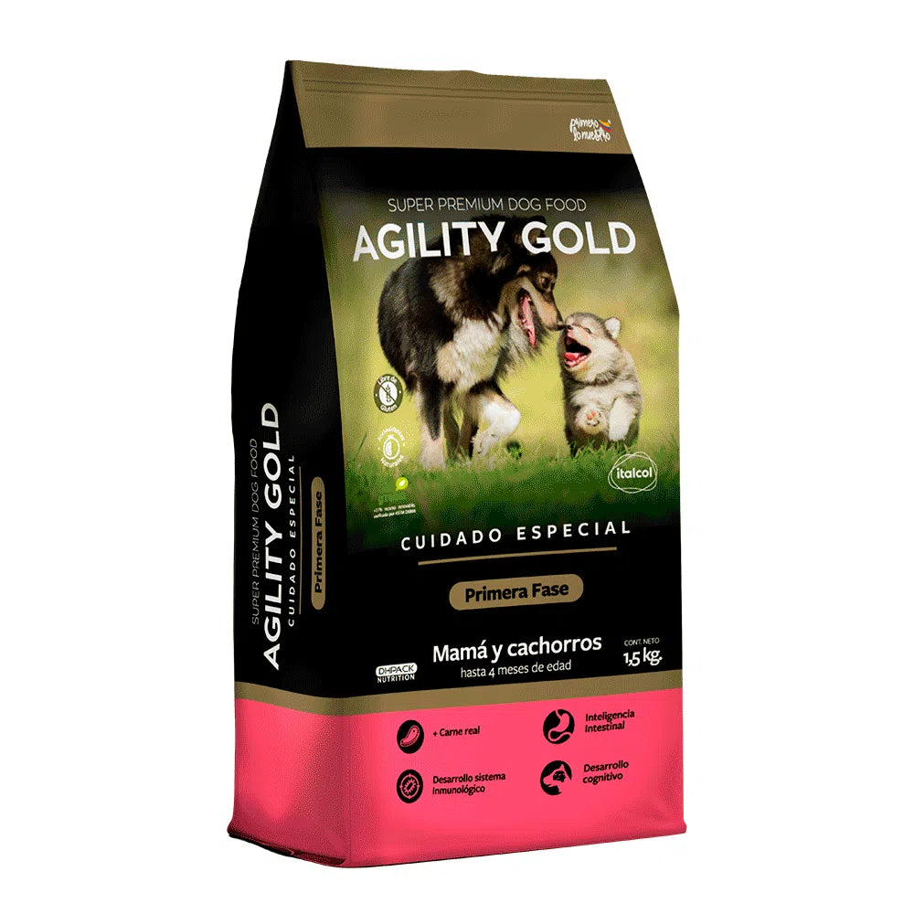 Agility Gold Perros Primera Fase