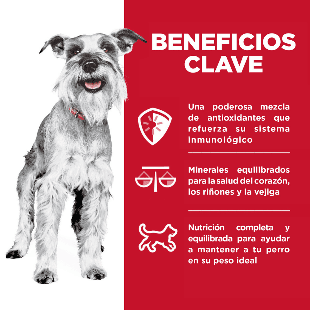 Hill's 7+ alimento húmedo para perro senior raza pequeña sabor pollo 99g