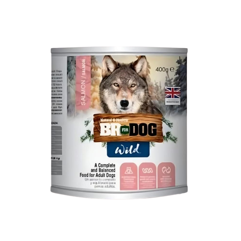 BR For Dog -Alimento Húmedo Lata Salmón - 400 gr