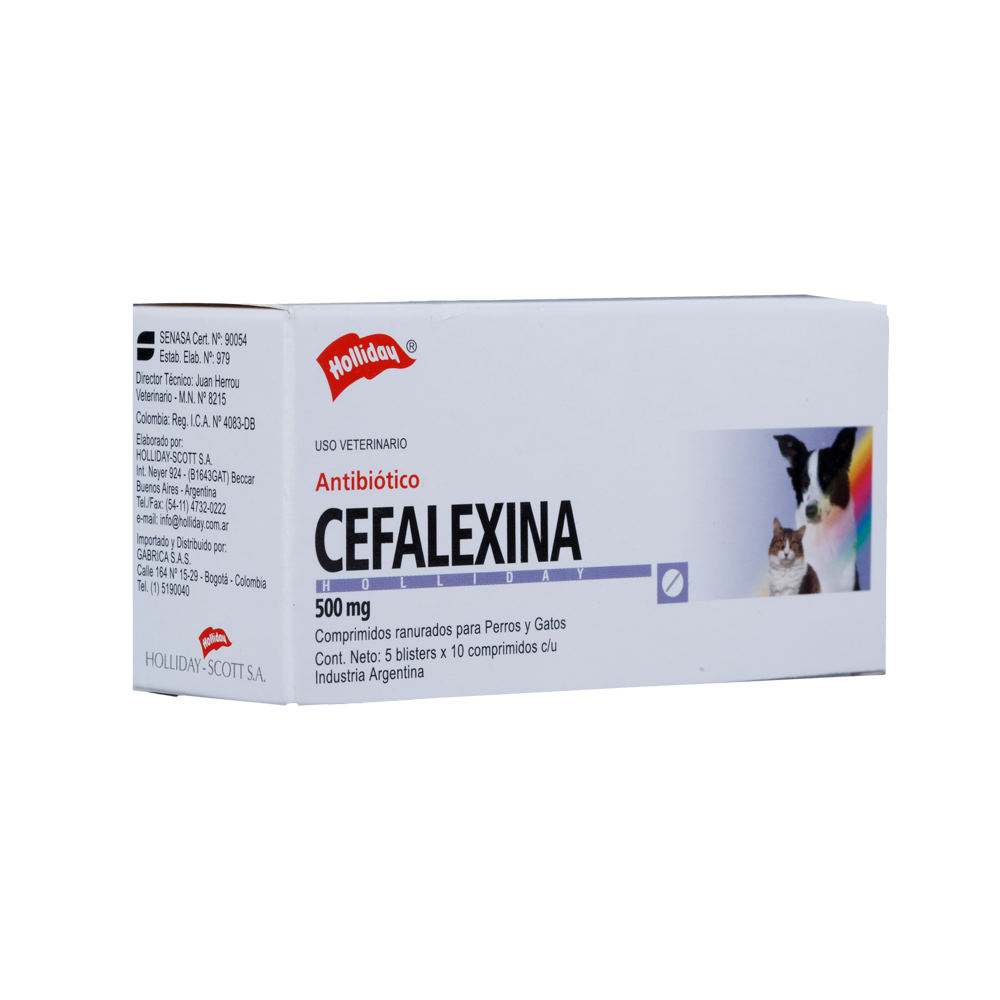 Antibiótico Cefalexina 500mg Blister X 10 Tabletas