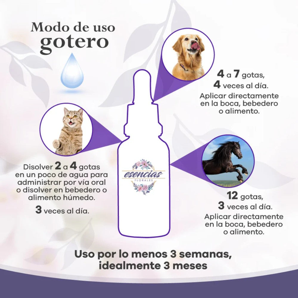 Esencia floral Armonizar Gotas 30 ml