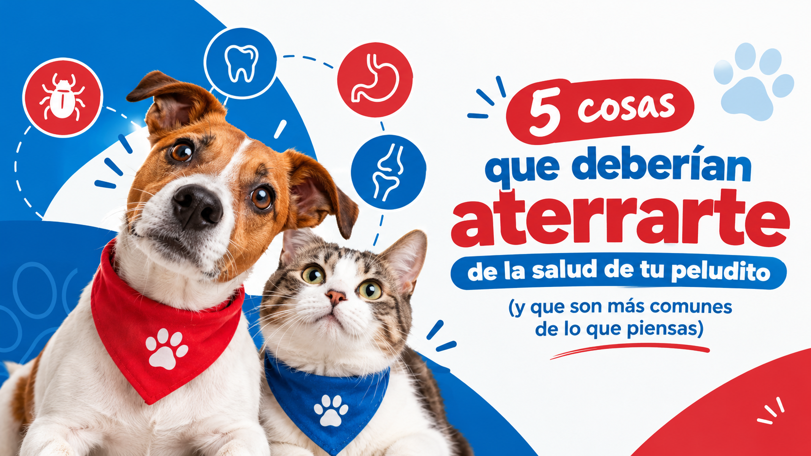 5 cosas que deberían aterrarte de la salud de tu peludito (y que son más comunes de lo que piensas)