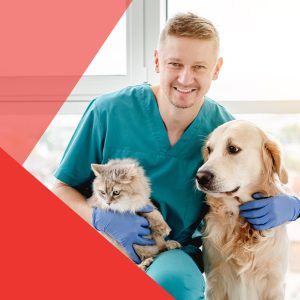 Servicios veterinarios en Cali: chequeos, vacunas y más