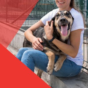 Adopción de mascotas: el secreto mejor guardado