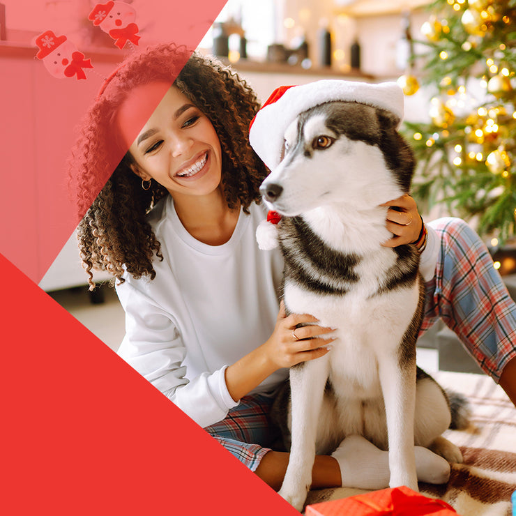 5 Consejos para cuidar mascotas en Navidad