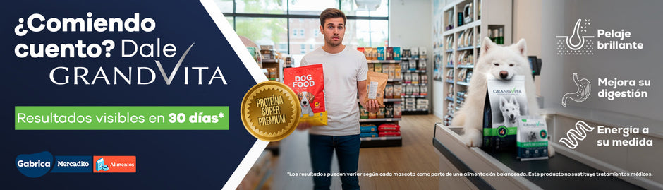 2026 PLANNING GABRICA Q2 04 - 15%OFF Grand Vita perro Resultados visibles en menos de 30 dias - (Abril, Mayo, Junio)