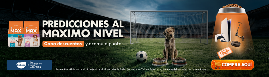 2026 PLANNING GABRICA Q3 02 - Prediccion al maximo nivel - (Hasta julio 17)