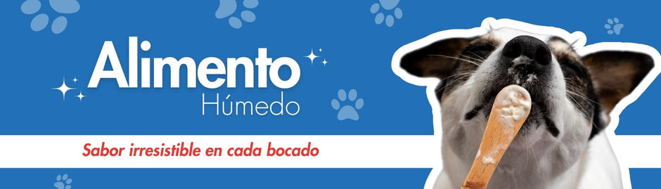 Alimento húmedo perro