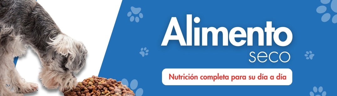 Alimento seco perro