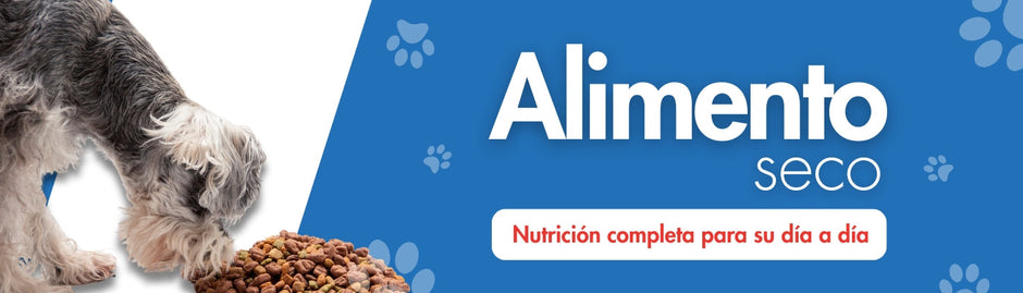 Alimento seco perro