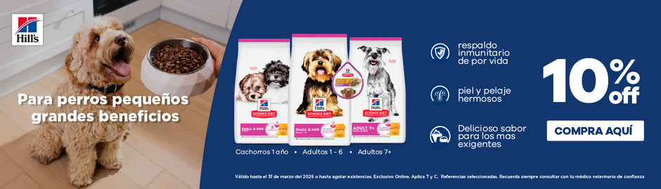 2026-03 PLANNING GABRICA - Hills Small & Mini Etapa de Vida - 10%OFF