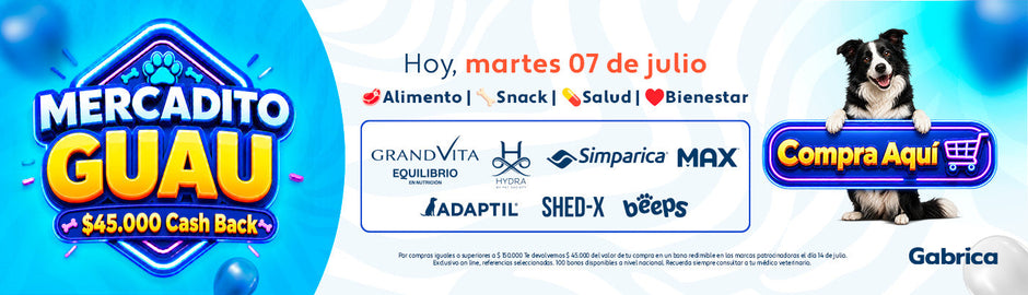 2026 PLANNING GABRICA Q3 15 - Gabrica fest perro, un dia al mes hasta 45.000 dcto (7 Jul / 11 Ago / 8 Sept)
