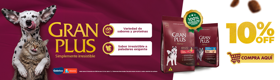 2026 PLANNING GABRICA Q4 04 - 10% GranPlus simplemente irresistible (Oct 1 - Dic 31)