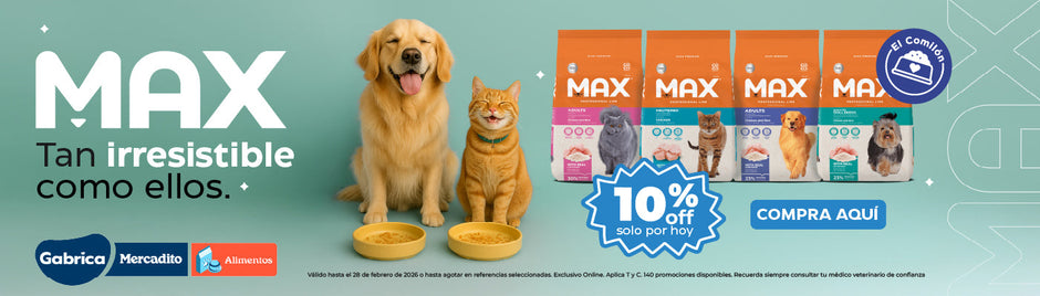 2026-03 PLANNING GABRICA - Día Max - 10%OFF (party pets)