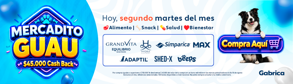 2026 PLANNING GABRICA Q3 15 - Gabrica fest perro, un dia al mes hasta 45.000 dcto (7 Jul / 11 Ago / 8 Sept)