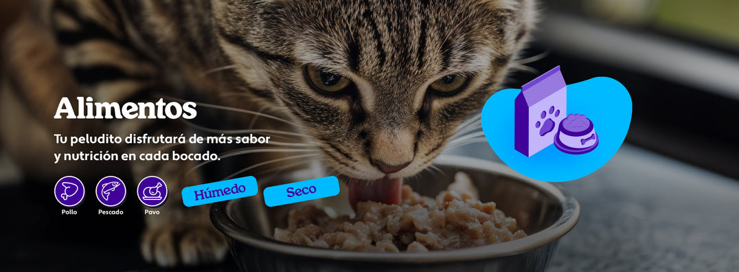 Mundo Gabrica Alimento Gato