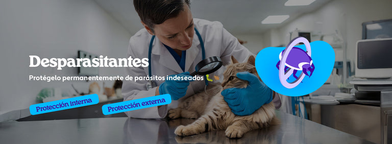 Mundo Gabrica Desparasitantes Gato