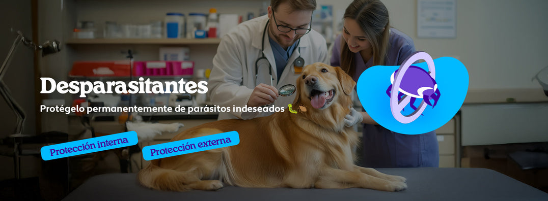 Mundo Gabrica Desparasitantes Perro