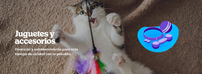 Mundo Gabrica Juguetes y Accesorios Gato