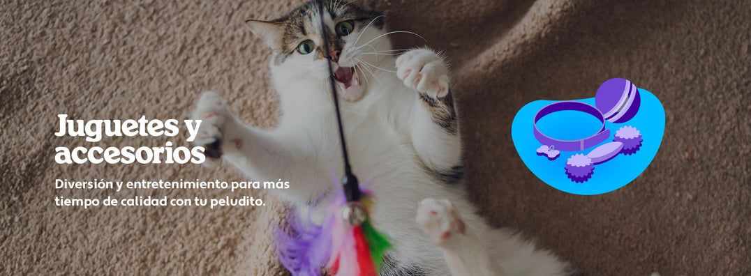 Mundo Gabrica Juguetes y Accesorios Gato