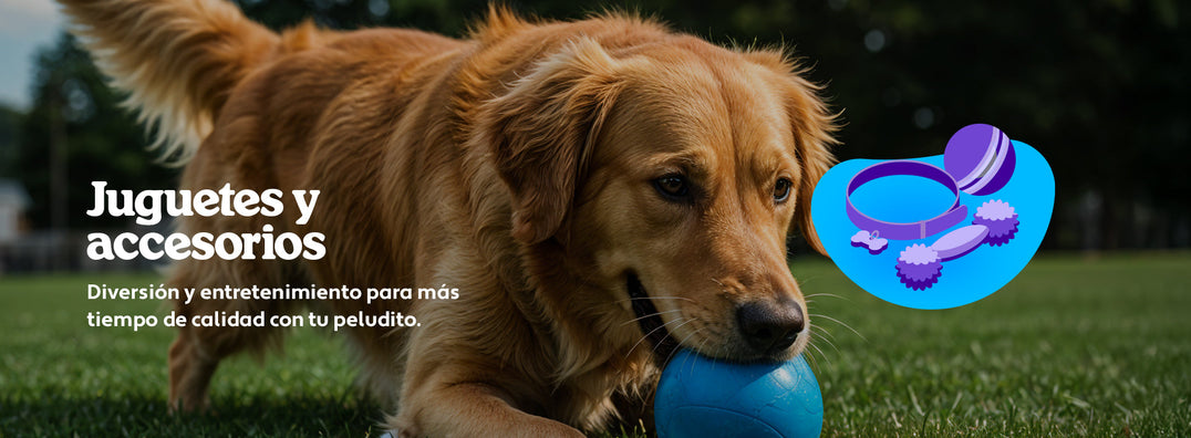 Mundo Gabrica Juguetes y Accesorios Perros