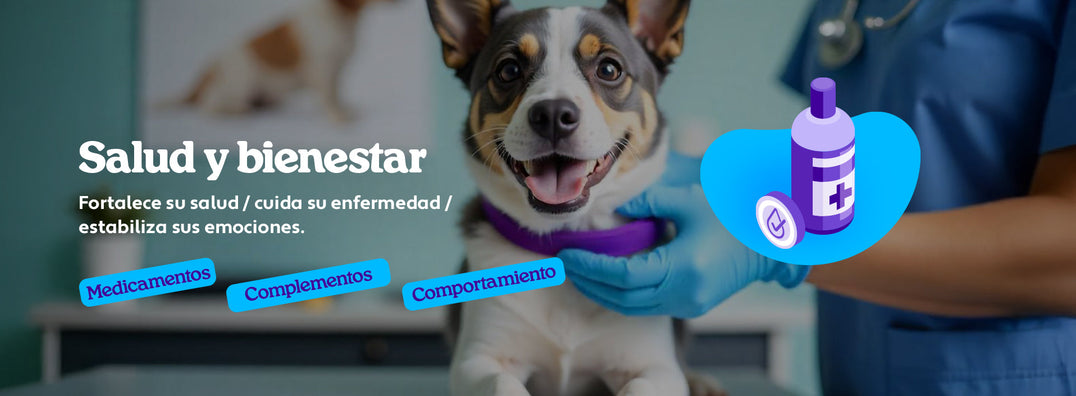 Mundo Gabrica Salud y Bienestar Perro