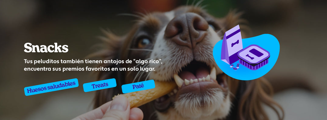 Mundo Gabrica Snack Perro