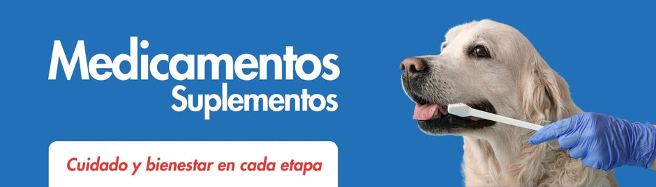 Medicamentos y suplementos