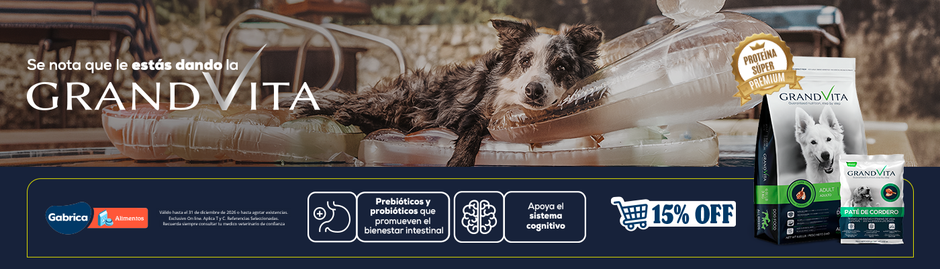2026 PLANNING GABRICA Q4 02 - 15% La GrandVita perro (Oct 1 - Dic 31)