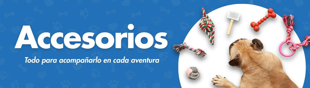 Accesorios