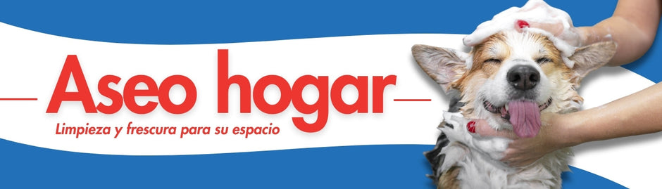 Aseo hogar