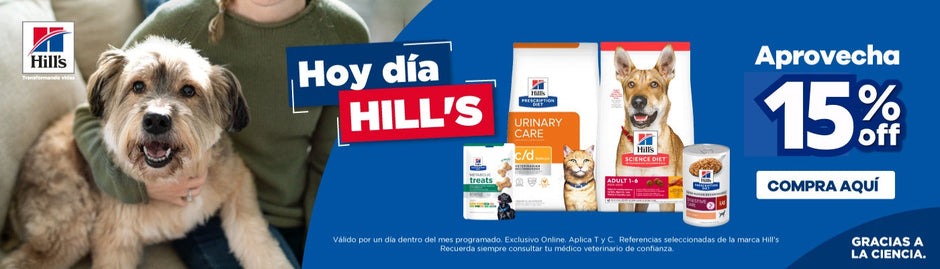 2026-02-14 PLANNING GABRICA - 15%OFF - Día Hill's