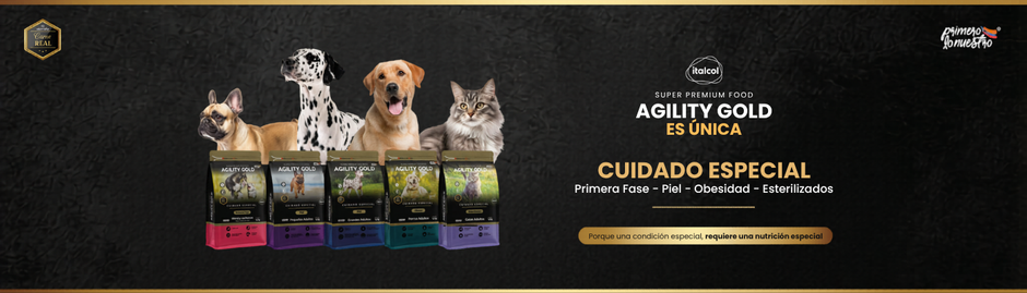 Productos Agility Gold