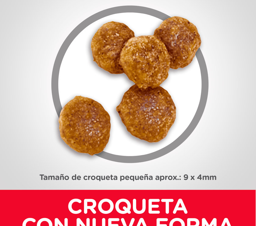 Comida para perro Hills Adulto Small Bites 15 Lb