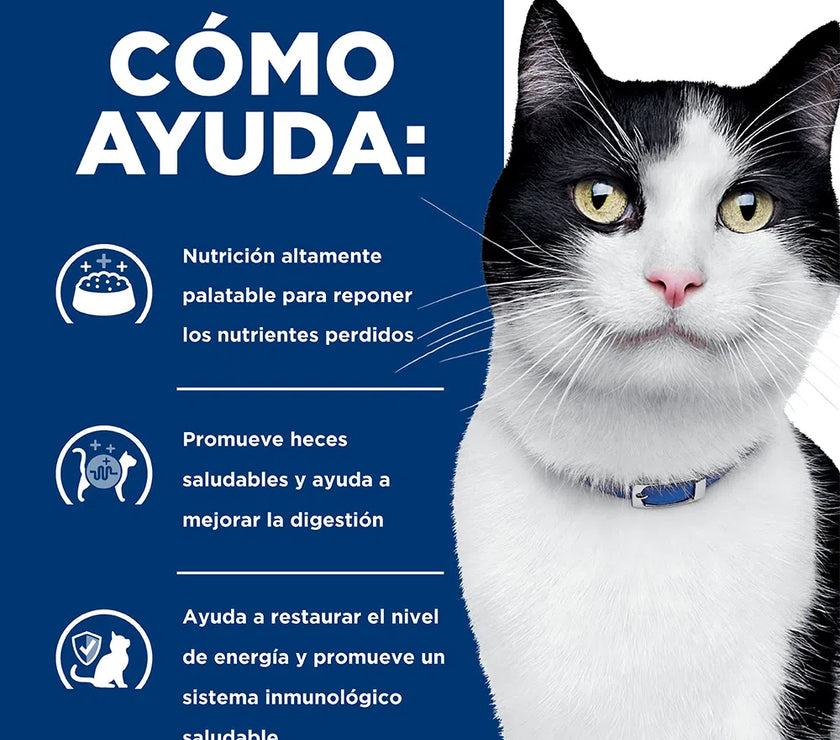 Comida Húmeda para gatos Hills Prescription Diet i/d Digestive Care 5,5 Onz