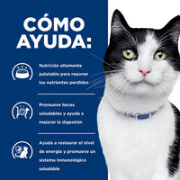 Comida Húmeda para gatos Hills Prescription Diet i/d Digestive Care 5,5 Onz