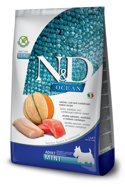 N&amp;D Ocean Can Adult Mini Salmao X 2,5 Kg