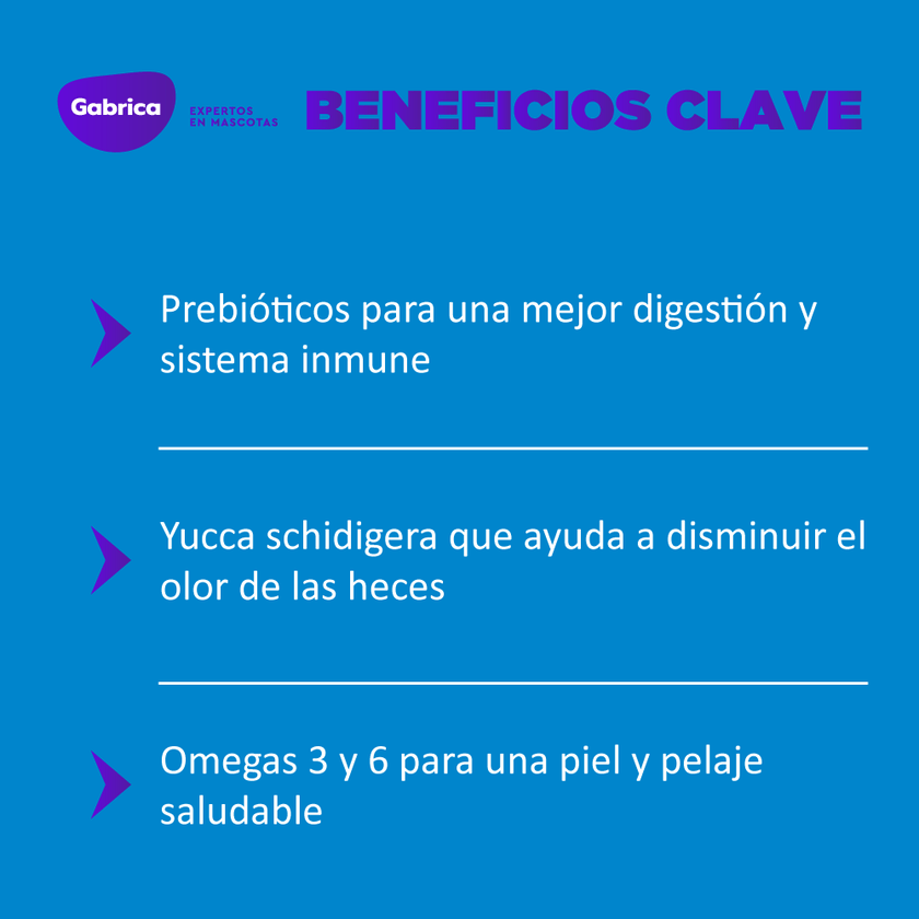 Comida para perro Guaumor Adultos  Razas Pequeñas