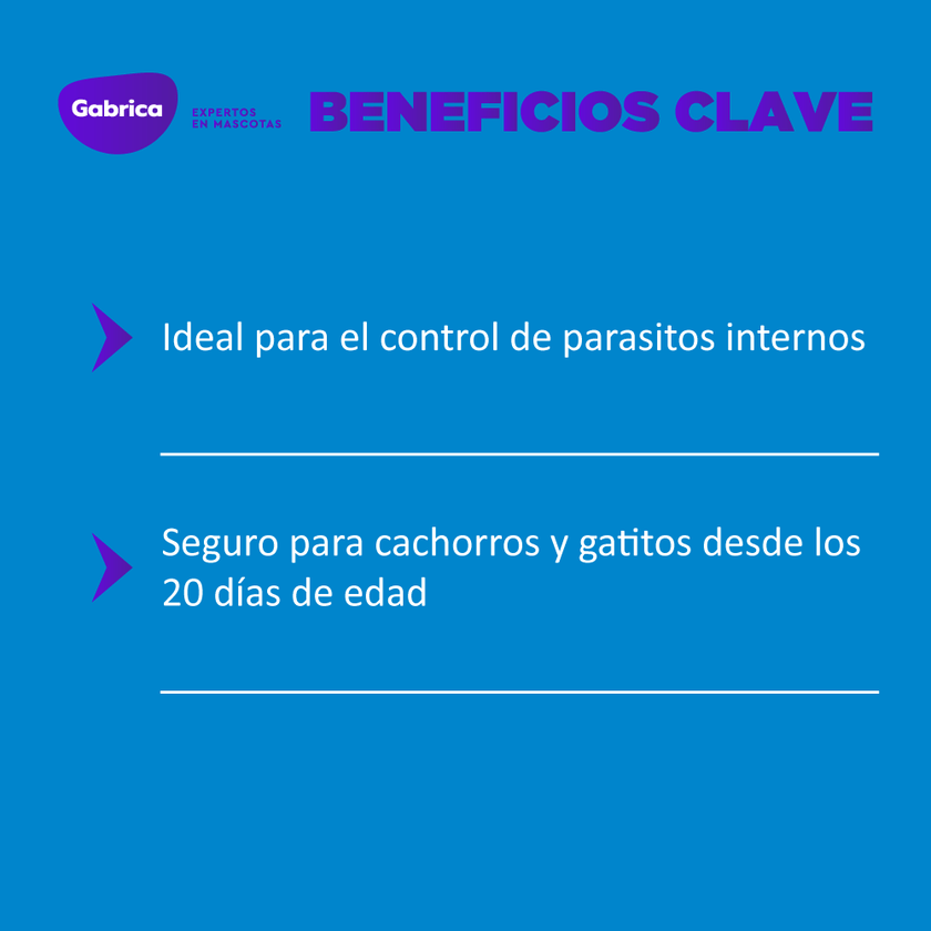 Antiparasario Interno Total FLC Perro y Gato